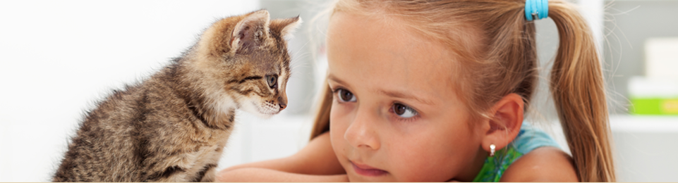 child with a kitten