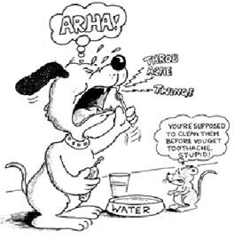 cartoon about dog teeth brushing