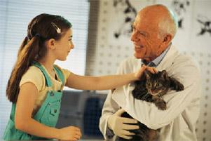 vet holding cat while child pets it