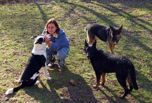 Woman outdoors with 3 dogs