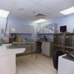 Exam area