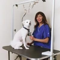 vet tech with dog on exam table