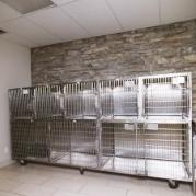 Pet Cages