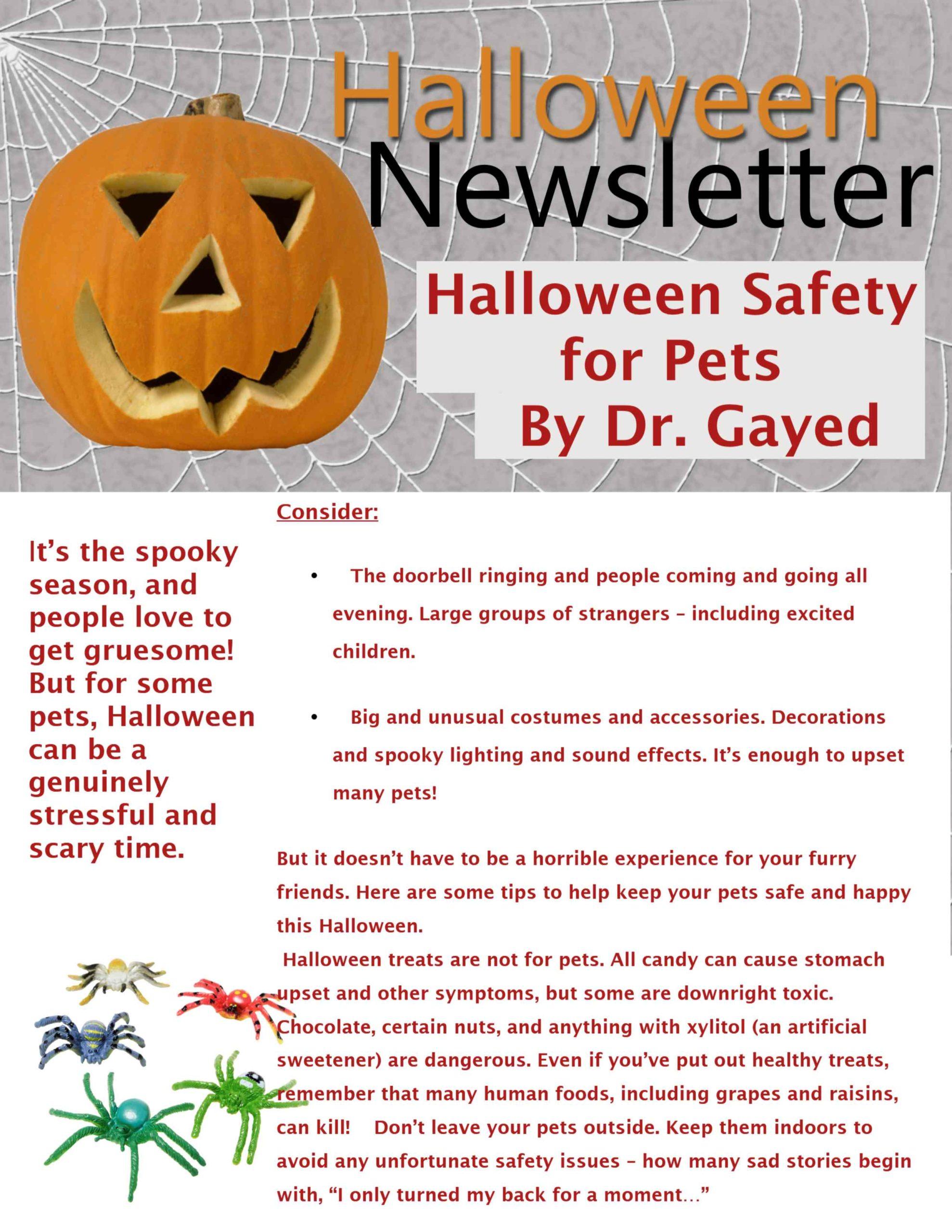 Spider Web Halloween Newsletter