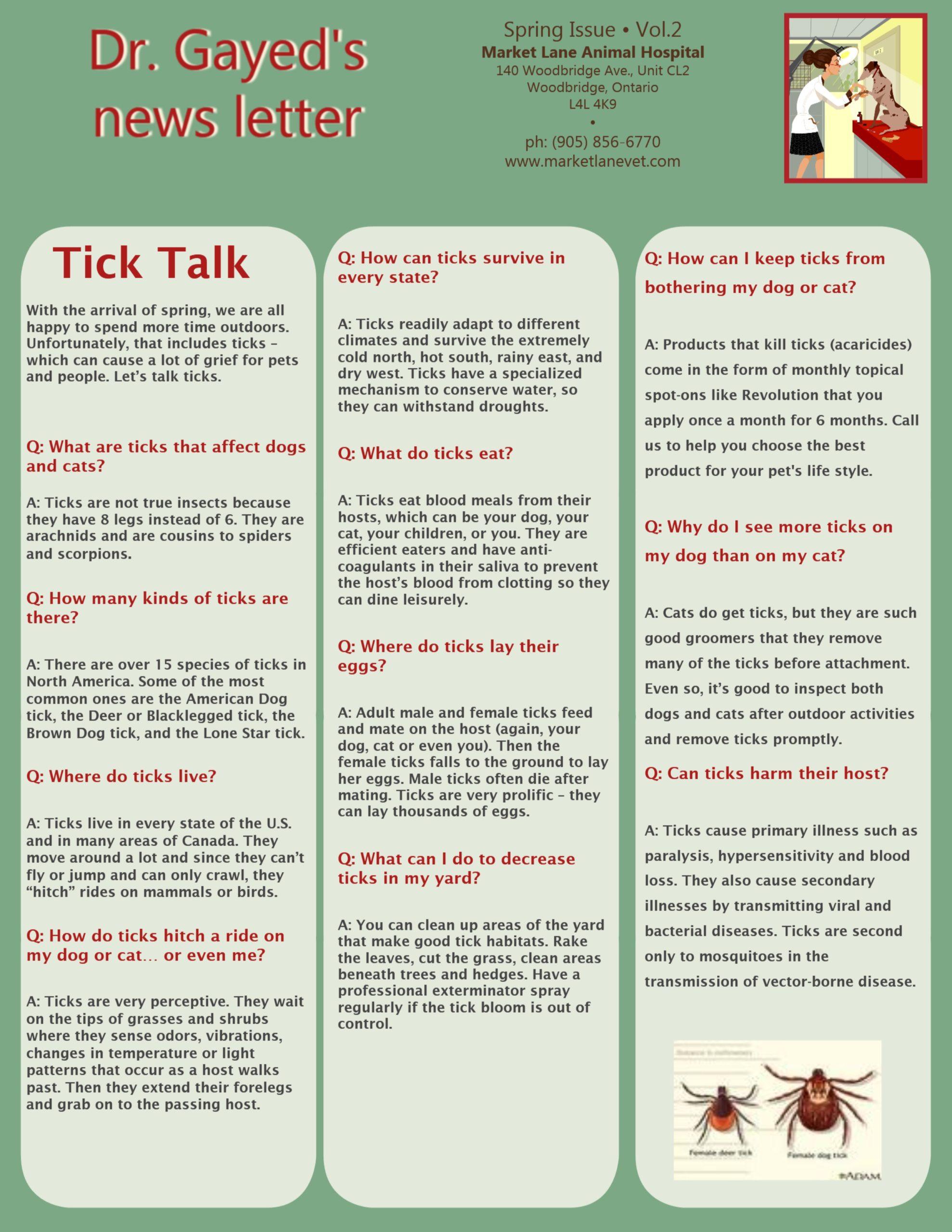 Tik Talk Newsletter